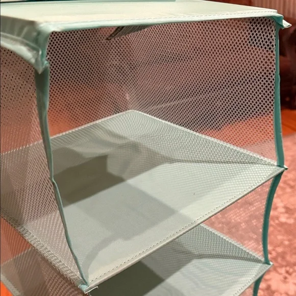 Teal Hanging Organizer for handbags/shoes/scarves/sweaters - Picture 3 of 15